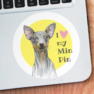 I love my Min Pin Miniature pinscher Cute Dog