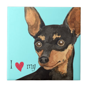 I Love my Min Pin Tile