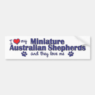 I Love My Mini Australian Shepherds (Multi Dogs) Bumper Sticker