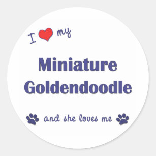 mini goldendoodle gifts