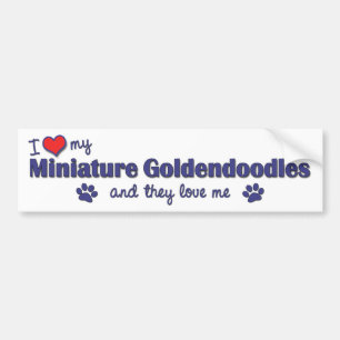 I Love My Miniature Goldendoodles (Multiple Dogs) Bumper Sticker