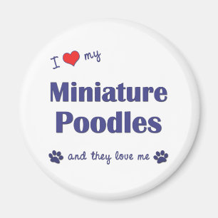 I Love My Miniature Poodles (Multiple Dogs) Magnet