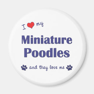 I Love My Miniature Poodles (Multiple Dogs) Magnet