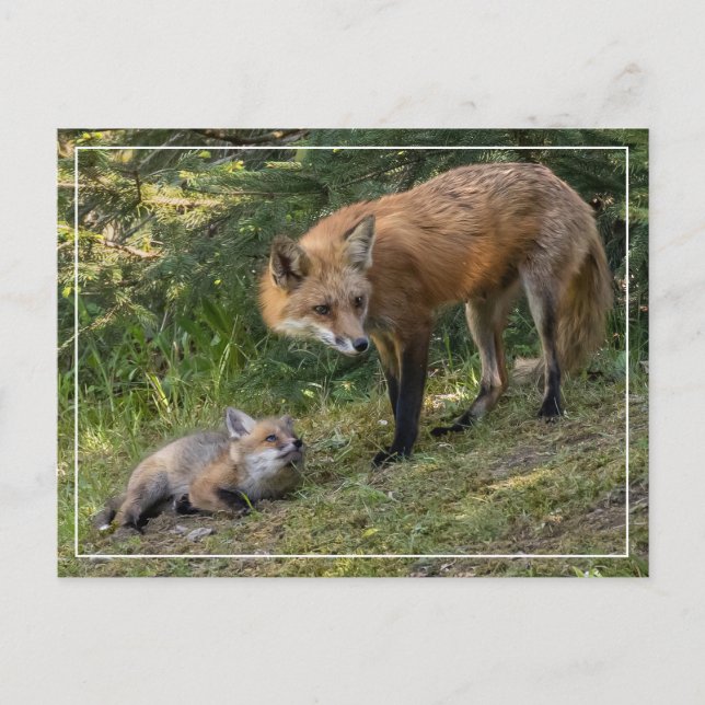 I Love My Mom Postcard (Front)