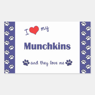 i_love_my_munchkins_multiple_cats_rectangular_sticker-r39d558d258e94ecbb5f82ca234370f5f_v9wxo_8byvr_324.jpg