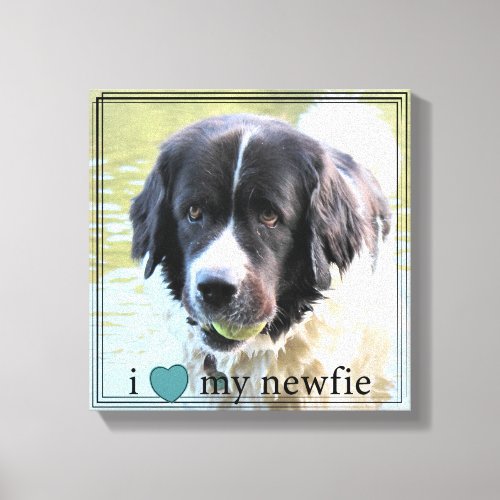 I love my Newfie Newfoundland Black Border Canvas Print