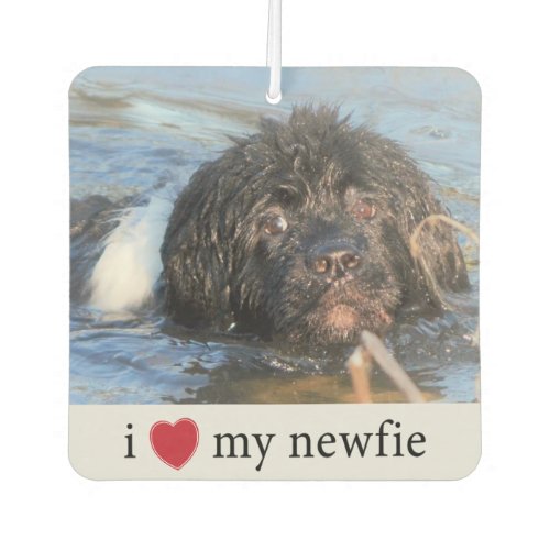 I love my Newfie Newfoundland Insert Photo Air Freshener