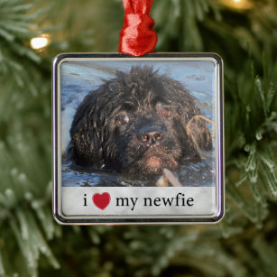 I love my Newfie Newfoundland Insert Photo Metal Ornament