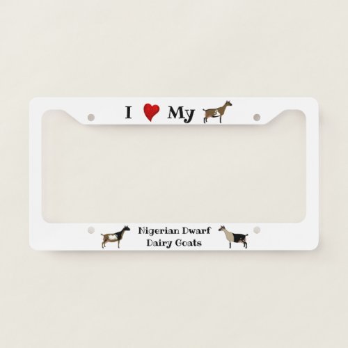 I Love my Nigerian Dwarf Dairy Goats _ White License Plate Frame
