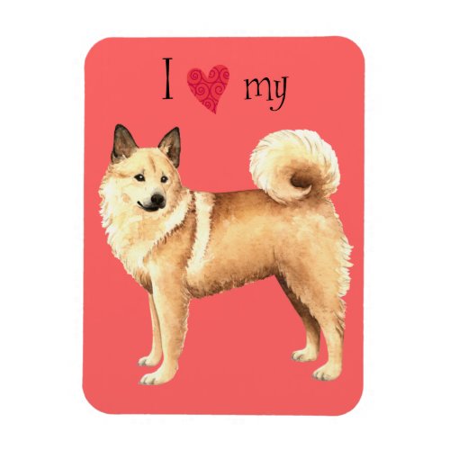 I Love my Norwegian Buhund Magnet