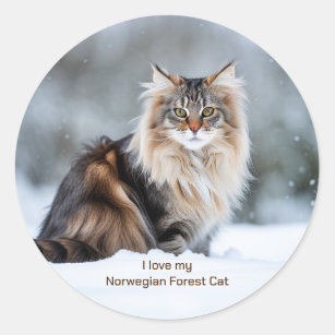 I Love My Norwegian Forest Cat In The Snow  Classic Round Sticker