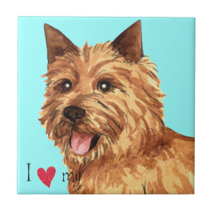 I Love my Norwich Terrier Tile