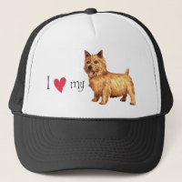 I Love my Norwich Terrier