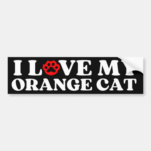 i love my Orange Cat   Bumper Sticker (Front)