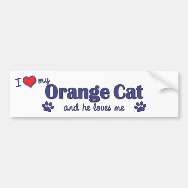 I Love My Orange Cat (Male Cat) Bumper Sticker (Front)