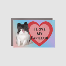 I Love My Papillon