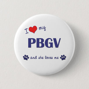 I Love My PBGV (Female Dog) Button