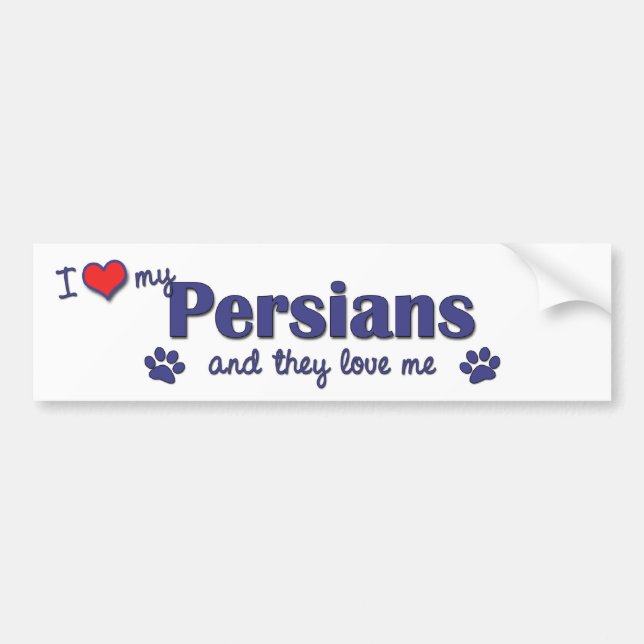 I Love My Persians (Multiple Cats) Bumper Sticker (Front)