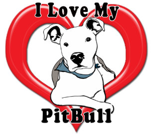 pitbull dog pitbull dog logo