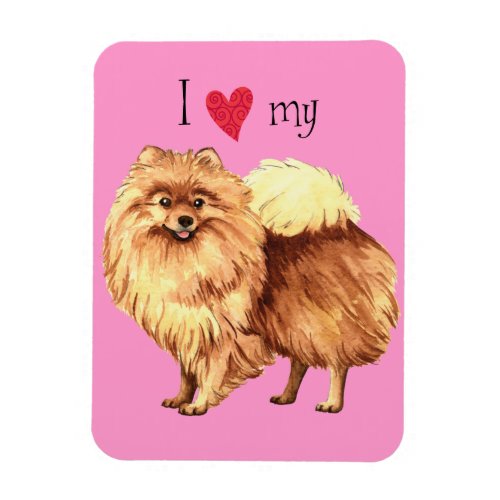 I Love my Pomeranian Magnet