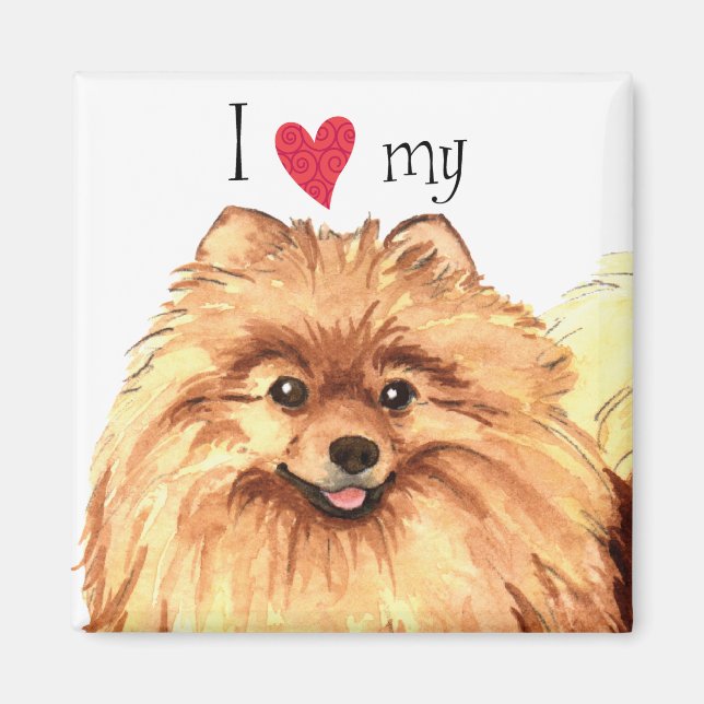 I Love my Pomeranian Magnet (Front)