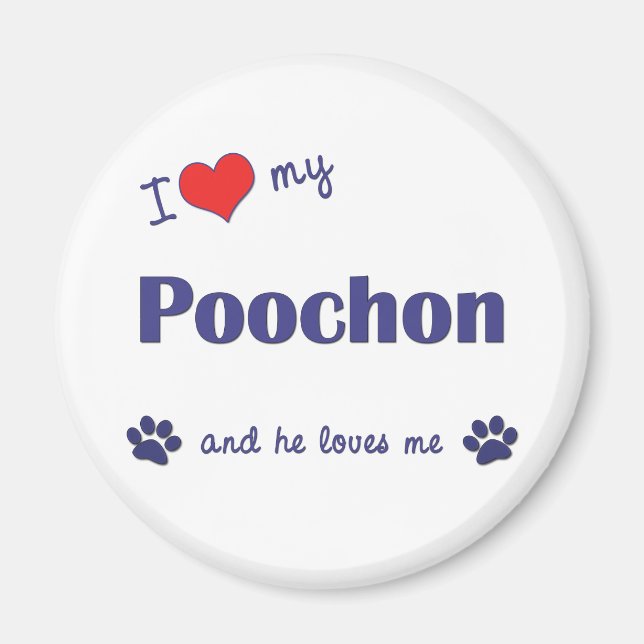 I Love My Poochon (Male Dog) Magnet (Front)