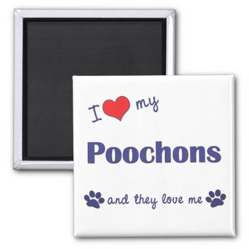 I Love My Poochons Multiple Dogs Magnet
