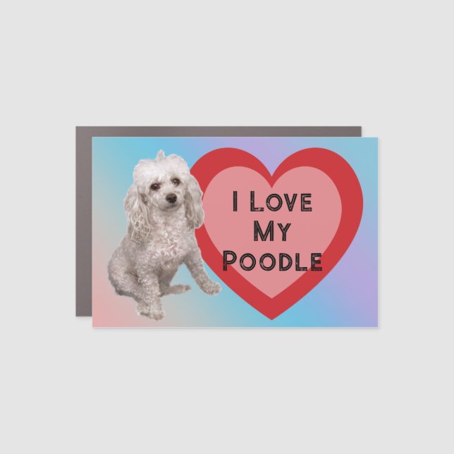 I Love My Poodle Car Magnet (Front)