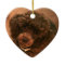 I love my Poodle