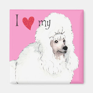 I Love my Poodle Magnet