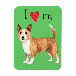 I Love my Portuguese Podengo Pequeno Magnet