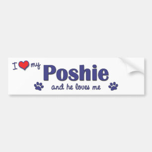 I Love My Poshie (Male Dog) Bumper Sticker
