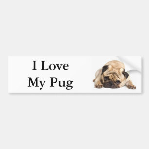I Love My Pug Bumper Sticker