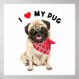 I Love My Pug Cute Pug Puppy Dog with Scarf Art  Poster