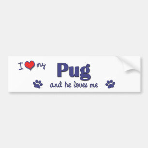 I Love My Pug (Male Dog) Bumper Sticker