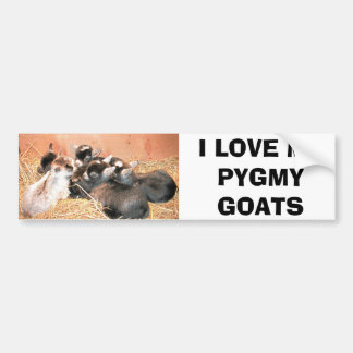 I LOVE MY PYGMY GOATS BUMPER STICKER
