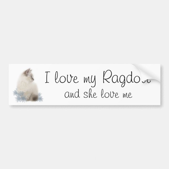 I love my ragdoll bumper sticker (Front)