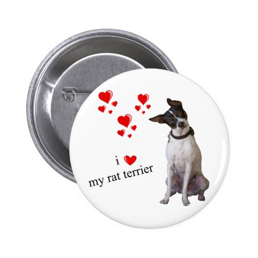 Rat Terrier Gifts - T-Shirts, Art, Posters & Other Gift Ideas | Zazzle