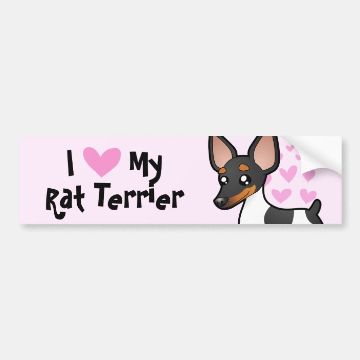 i love my rat terrier