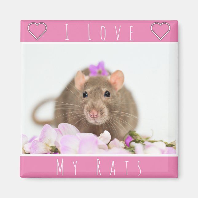 I Love My Rats Magnet (Front)
