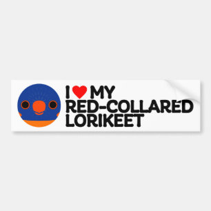 I LOVE MY RED-COLLARED LORIKEET BUMPER STICKER