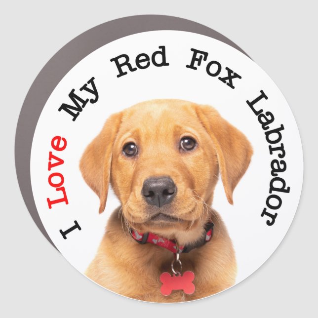 I Love My Red Fox Labrador Circle Car Magnet (Front)