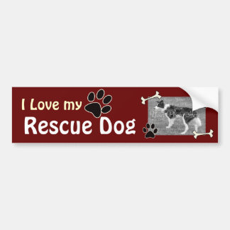 Dog Bumper Stickers & Dog Bumper Sticker Designs | Zazzle