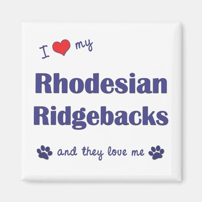 I Love My Rhodesian Ridgebacks (Multiple Dogs) Magnet (Front)
