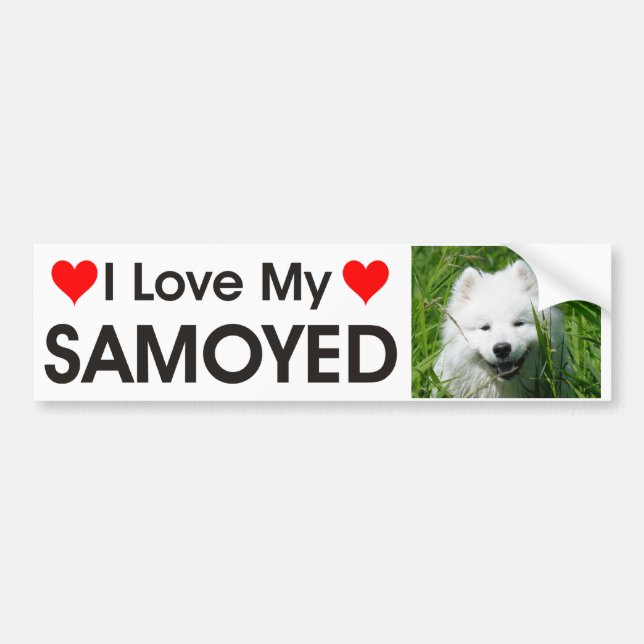 I Love My Samoyed Bumper Sticker (Front)