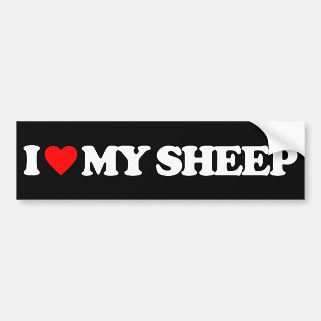 I LOVE MY SHEEP BUMPER STICKER (Front)