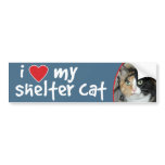 I Love My Shelter Cat Calico Bumper Sticker/Decal Bumper Sticker
