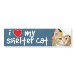 I Love My Shelter Cat Orange Kitten Bumper Sticker