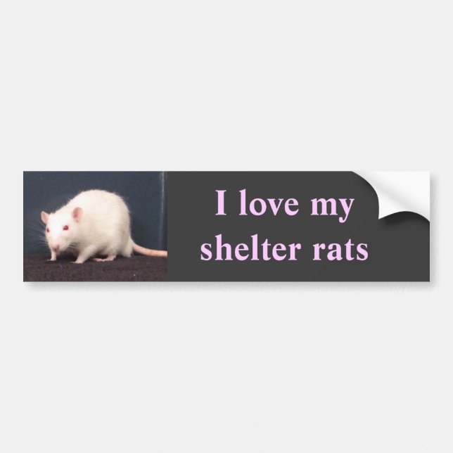 I love my shelter rats bumper sticker (Front)