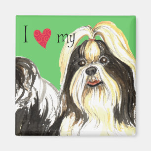 I Love my Shih Tzu Magnet